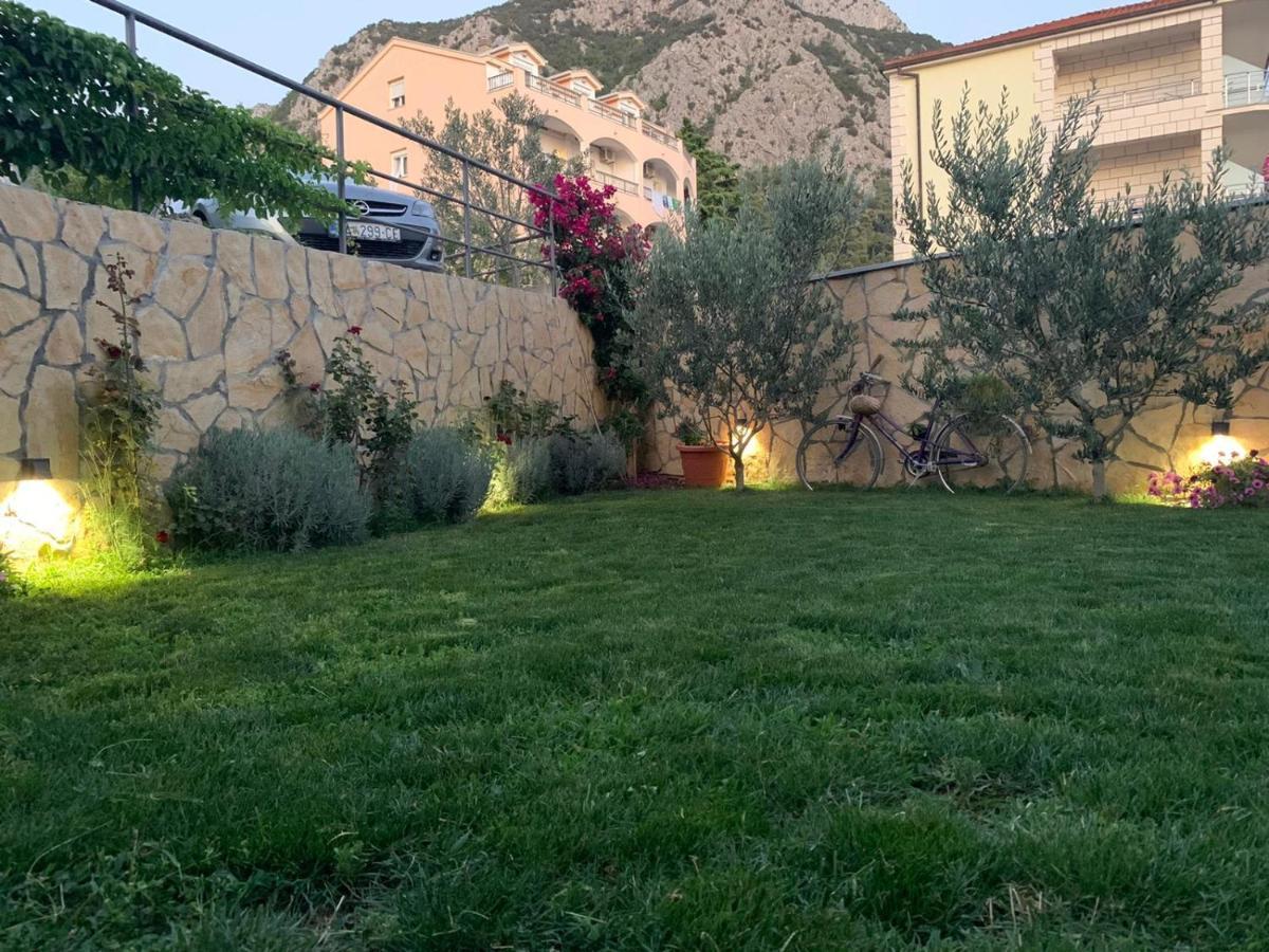 Vila Damir Gradac  Εξωτερικό φωτογραφία