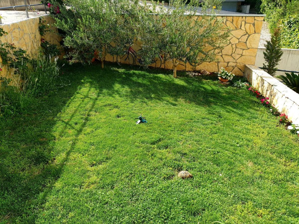 Vila Damir Gradac  Εξωτερικό φωτογραφία